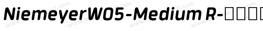 NiemeyerW05-Medium R字体转换